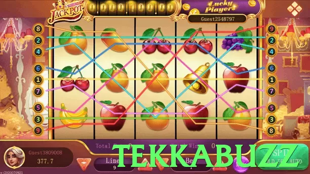 tekkabuzz Pakistan - 3